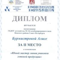 2024 99 2 место Юный мастер 