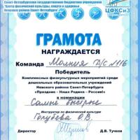 Победитель Праздник-Наша Родина- Россия