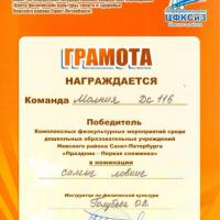 Победитель Праздник-Первая снежинка