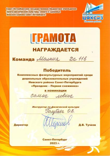 Победитель Праздник-Первая снежинка
