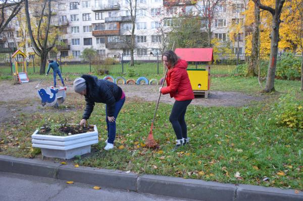 подготовили вазоны к зиме