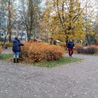 подстригли "зеленые изгороди"